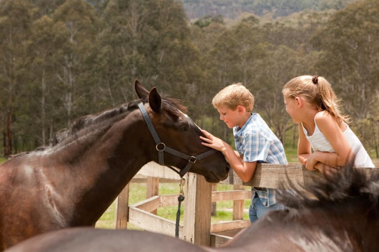 Kids activities horse riding